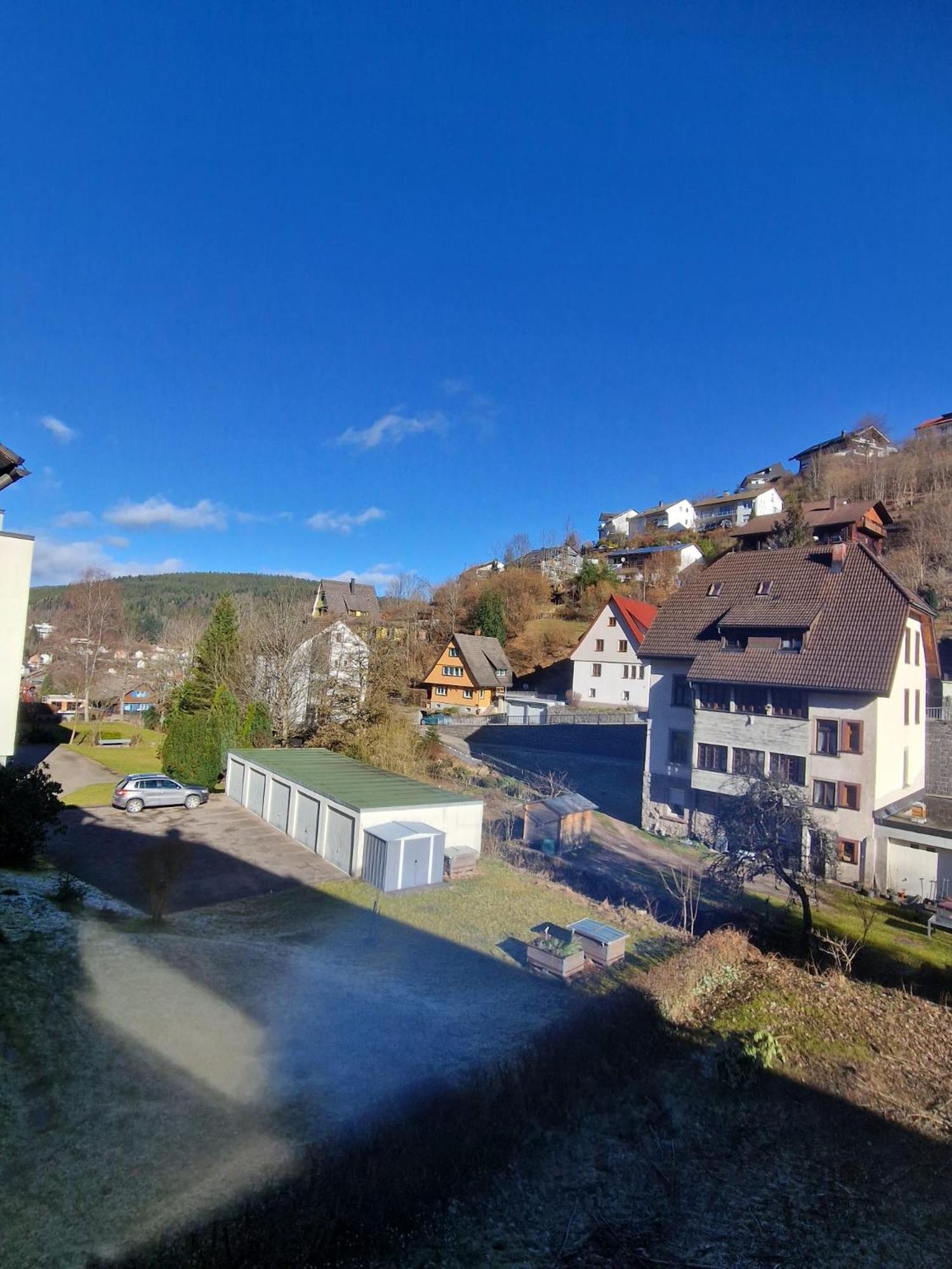 Holiday Apartment Near Triberg Waterfall Triberg im Schwarzwald Εξωτερικό φωτογραφία