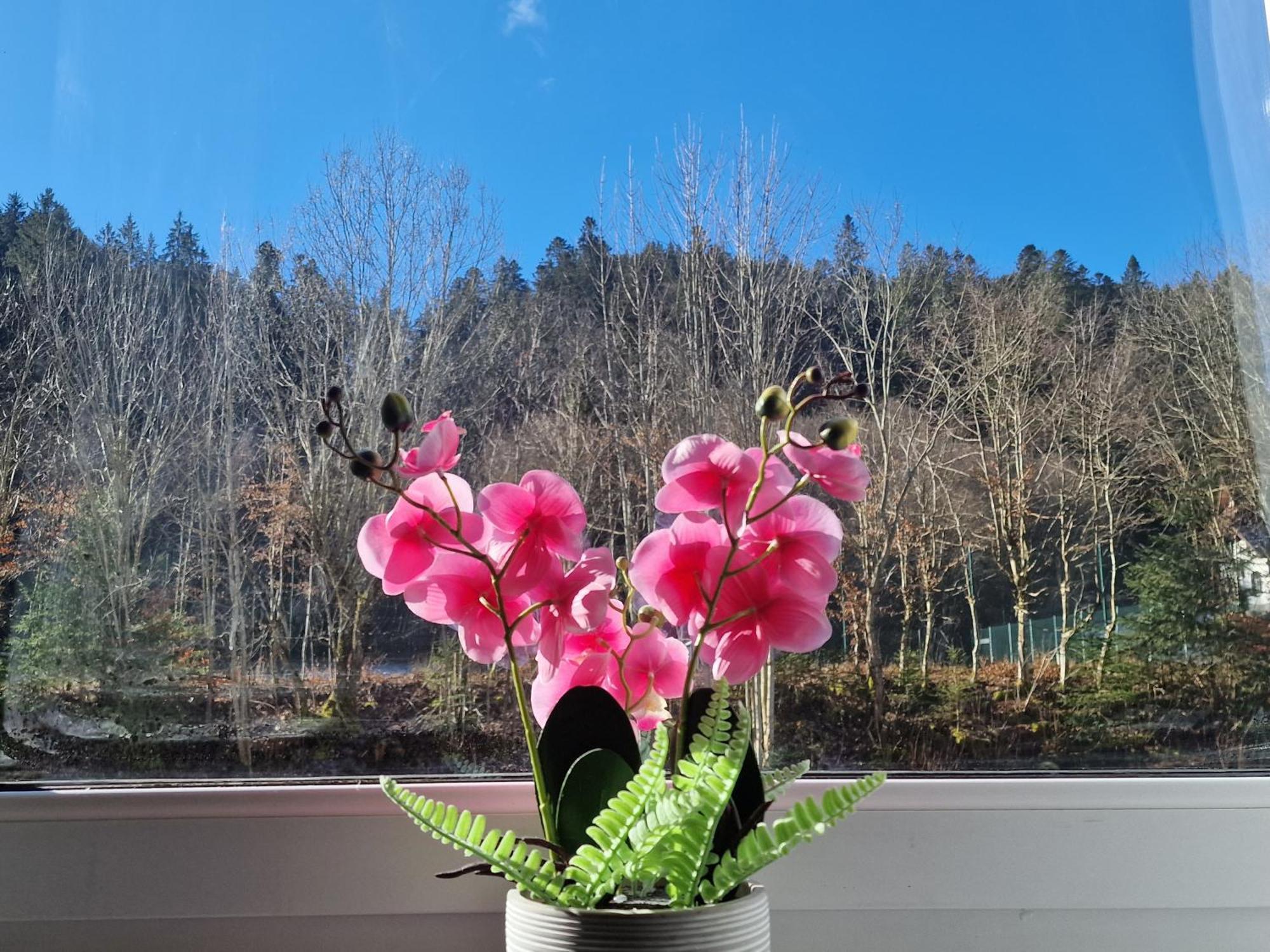 Holiday Apartment Near Triberg Waterfall Triberg im Schwarzwald Εξωτερικό φωτογραφία